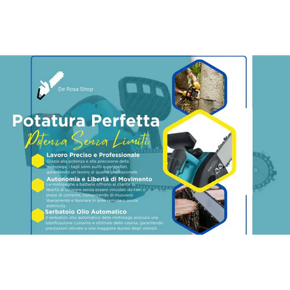 Motosega a Batteria per Potatura, Sega Elettrica 12 Pollici, con 2 Batterie