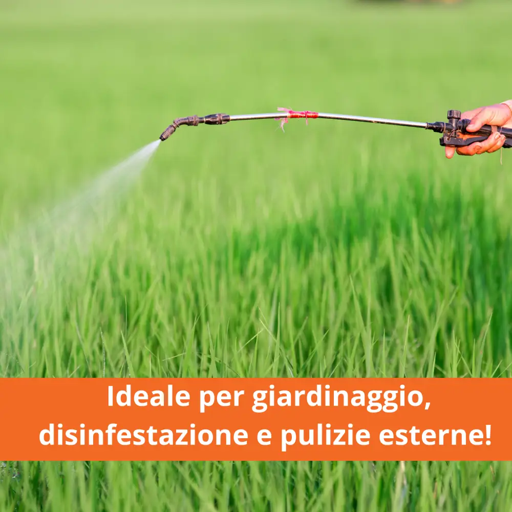 Pompa a Spalla Manuale 16L per Nebulizzazione e Irrorazione – Nebulizzatore a Pressione per Disinfestazione e Giardinaggio con Ugello in Ottone Regolabile