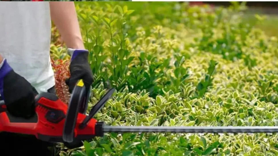 Tagliasiepi a Batteria Per Giardino, Tosasiepi Elettrico Senza Fili Con Lama In Acciaio 52Cm